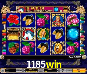 VIP Casino 1185win