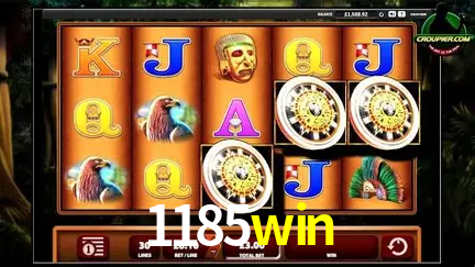 Live Casino 1185win